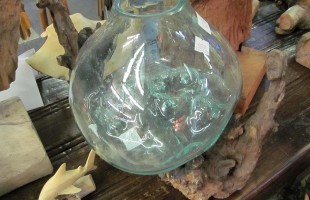 Hand Blown Glass on Driftwood