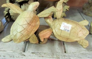Parasite Wooden Turtles